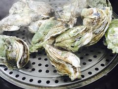 -蚝专家(北滘店)