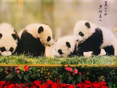 -成都驻京办餐厅(蜀都宾馆店)