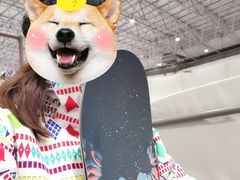 -绍兴启迪乔波冰雪世界