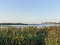 -丁香湖公园