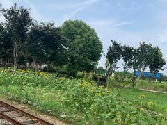 -武汉紫薇都市田园