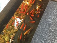 -颐和•海鲜砂锅粥•啫啫煲(奥林匹克广场店)