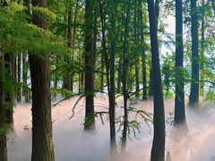 -东湖落雁景区