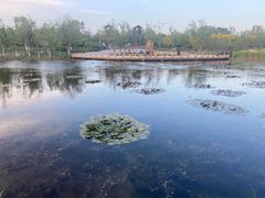 -绿堤公园