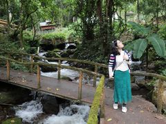 -莫里热带雨林景区