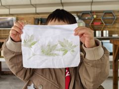 -宁波九龙湖开元度假村