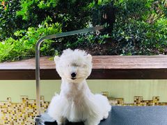 -汪说喵讲宠物乐园宠物酒店(红星美凯龙店)