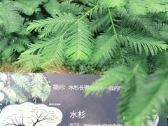 -国家植物园南园