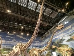 -自贡恐龙博物馆