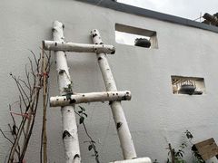 -铁炉咖啡(河下古镇店)