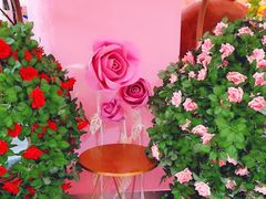 -pink baby·新晋网红打卡地
