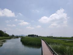 -苏州太湖湖滨国家湿地公园