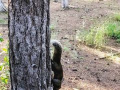 -帽儿山国家森林公园