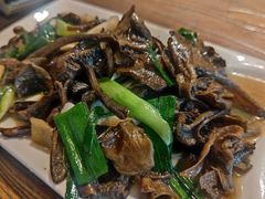 -老号尤兔头(幸福店)