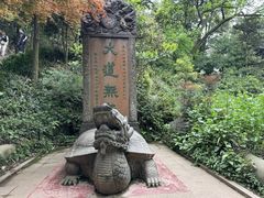 -青城山