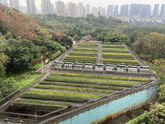 餐饮设施-重庆彩云湖湿地公园