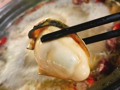-花苑美食横琴生蚝火锅(拱北粤华路店)