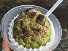 -日月潭