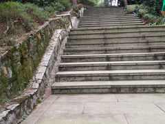 -铁山坪森林公园