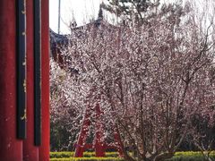 -终南山古楼观历史文化景区