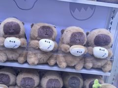 -爱玩嘉年华(龙湖源著天街店)