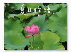 景点-成都市文化公园