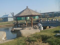 android_upload_pic-龙达温泉生态城