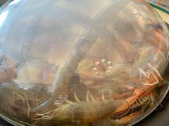 -港畔赶海蒸汽海鲜烧烤自助(仙螺岛店)