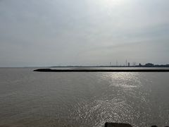 -碧海金沙