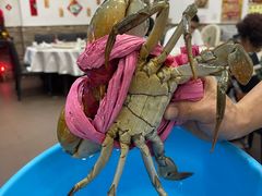 -凤城礼记鱼翅海鲜酒家(新马路总店)