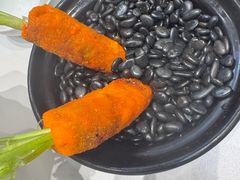 -丁老爷子苏香圆