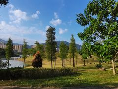 -飞来湖湿地公园