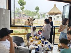 -西霞口神雕山野生动物世界