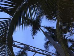 -越海渔村