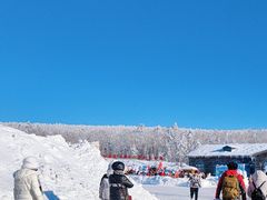 -雪谷