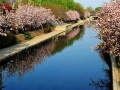 -元大都城垣遗址公园