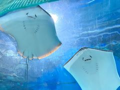 -福州罗源湾海洋世界旅游区