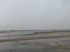 -北海金海湾红树林生态旅游区