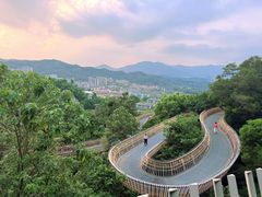 -福道