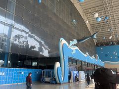 -泉城欧乐堡海洋极地世界