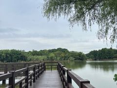 -苏州太湖国家湿地公园