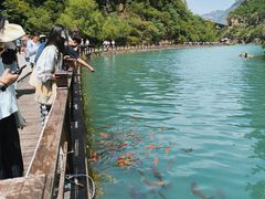 -山西通天峡景区