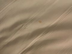 -上海雅居乐万豪侯爵酒店