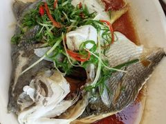 金昌鱼-众味海鲜大排档·活海鲜·潮汕味(南澳店)