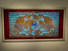 -上海昆虫博物馆