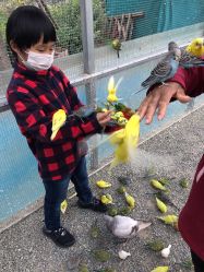 点击看大图 -萌宠亲子动物乐园(槐房万达店)