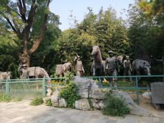 -八大处公园