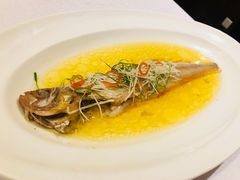 清蒸钓鱼岛红带鱼-涵苑私宴定制(外滩店)