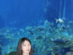 -西安曲江海洋极地公园