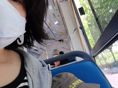 -胶州湾海底隧道